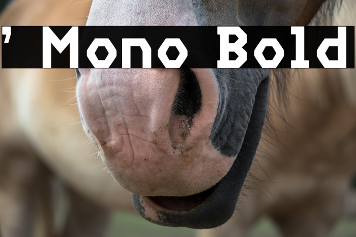 ' Mono Bold Example 3