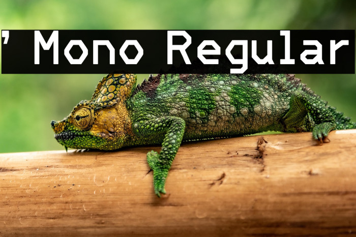 ' Mono Regular Example 1