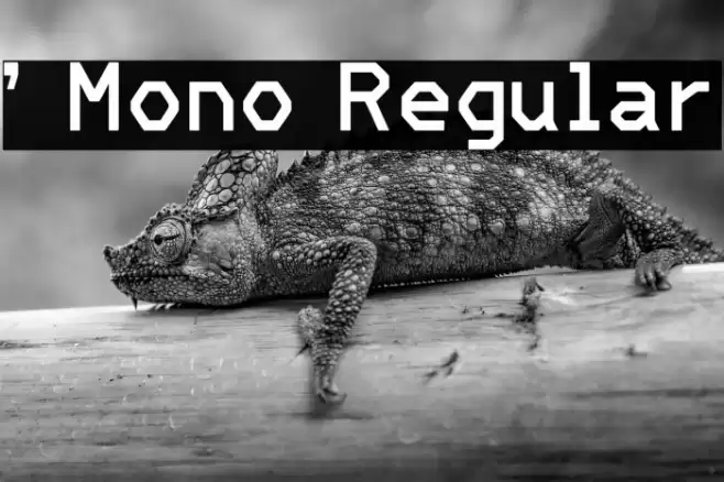 ' Mono Regular Font examples