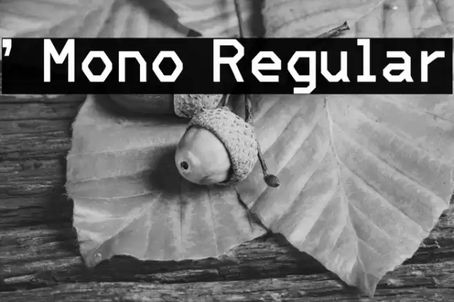 ' Mono Regular Font examples