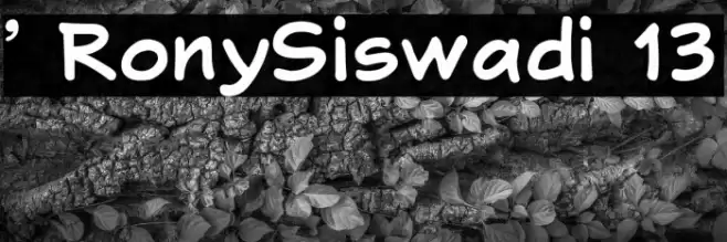 ' RonySiswadi 13 Font examples