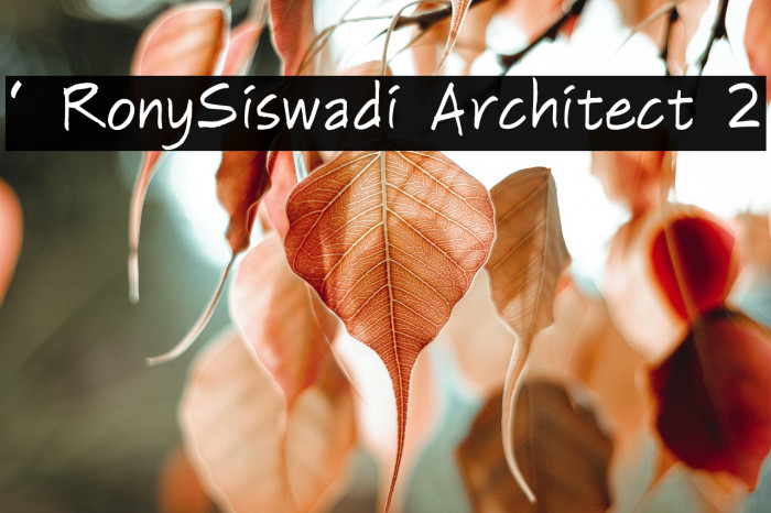 ' RonySiswadi Architect 2 Example 2