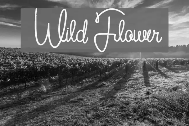 [ Wild Flower ] Font examples
