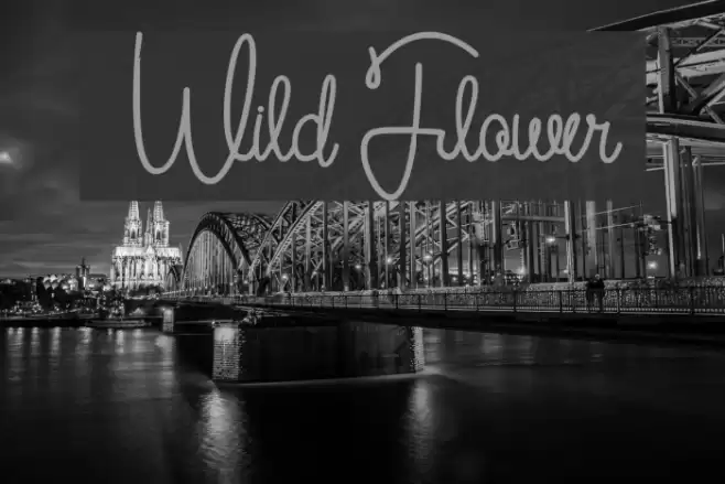 [ Wild Flower ] Font examples