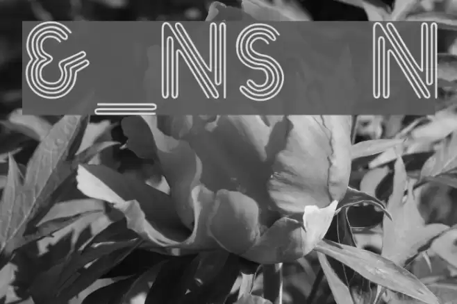 &_NearSighted Normal Schriftart examples