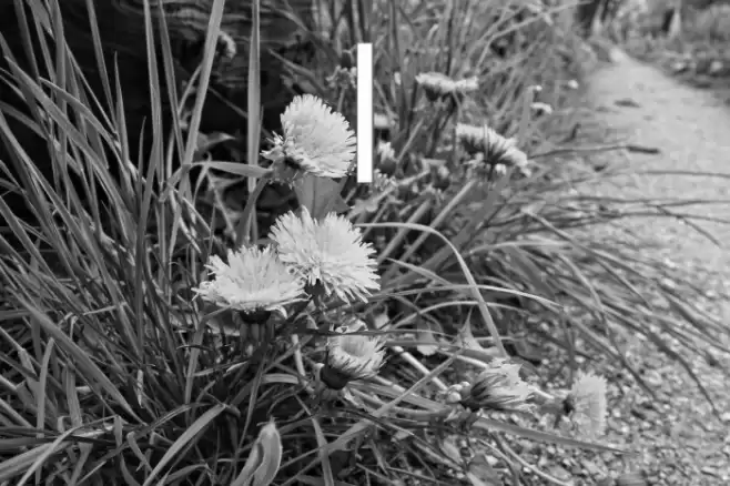 --chan Caratteri examples