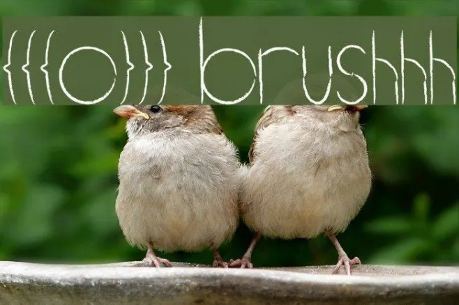 [[[o]]] brushhh Example 1