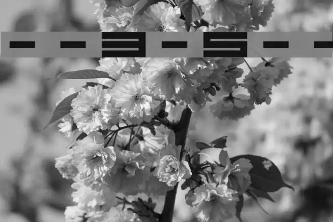 --squarepusherv3-5-- Fonte examples