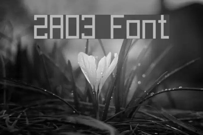 2A03 Font examples