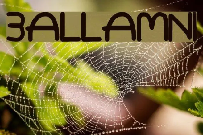 3allamni Example 1