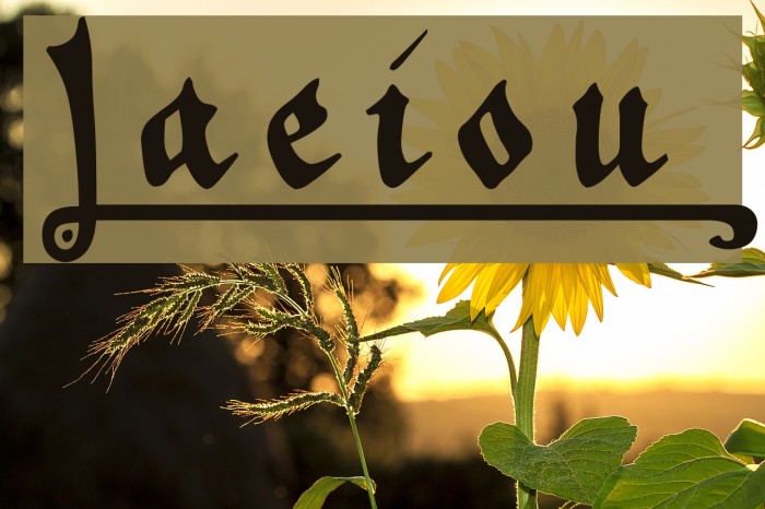 _a e i o u Font examples