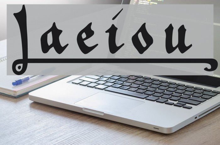 _a e i o u Font examples