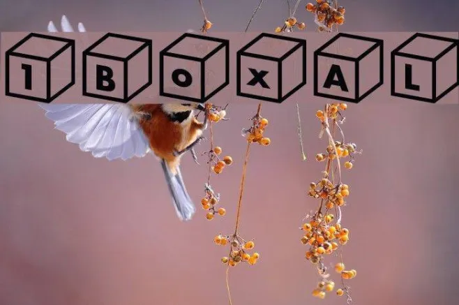 1BoxAL Example 1