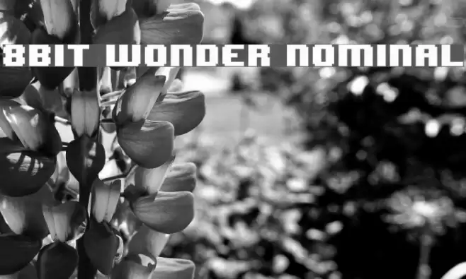 8BIT WONDER Nominal Polices examples
