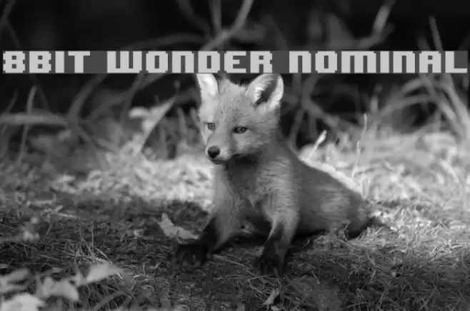 8BIT WONDER Nominal Polices examples