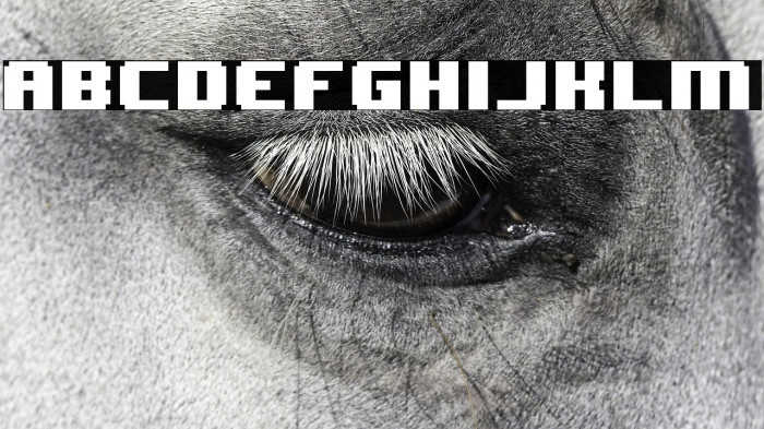 8BIT WONDER(RUS BY LYAJKA) Nominal Example 1