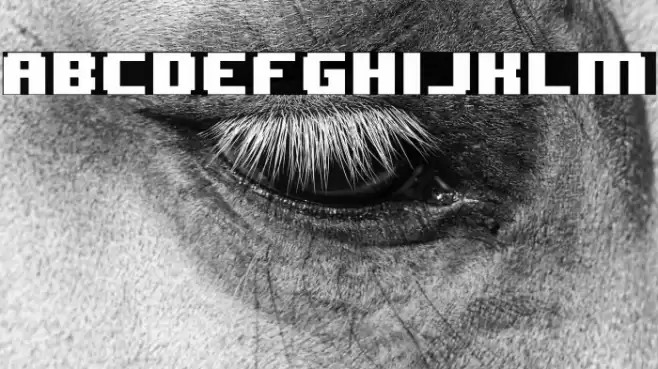 8BIT WONDER(RUS BY LYAJKA) Nominal Font examples