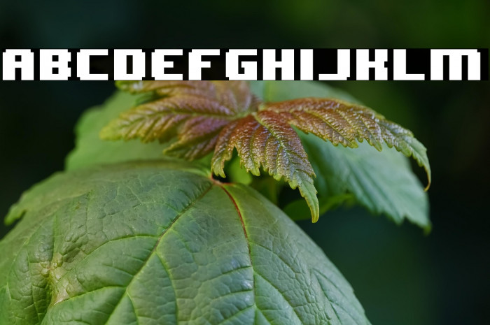 8BIT WONDER(RUS BY LYAJKA) Nominal Example 2