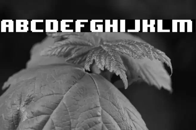 8BIT WONDER(RUS BY LYAJKA) Nominal Font examples