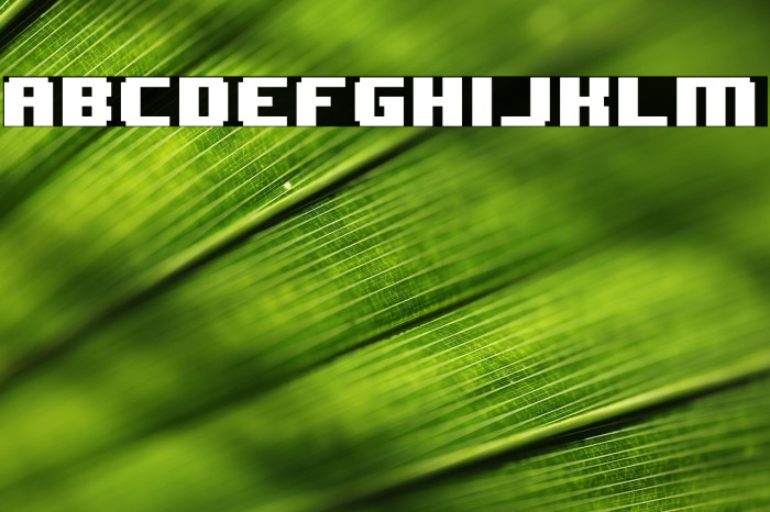 8BIT WONDER(RUS BY LYAJKA) Nominal Example 3