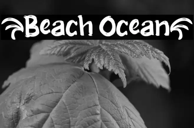 {Beach Ocean} Font examples