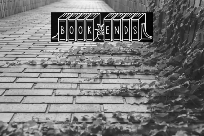 (Book+Ends) Font examples