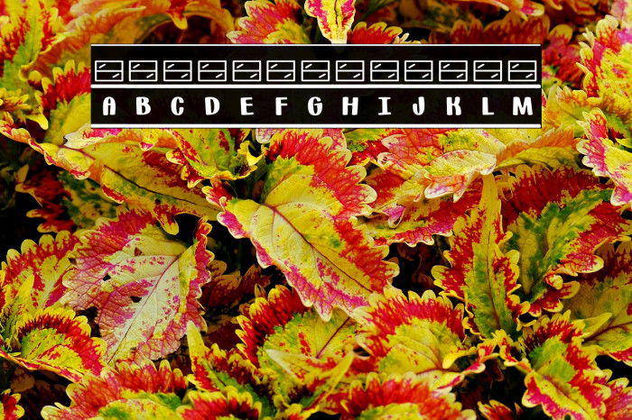 (Bus-words) Example 2