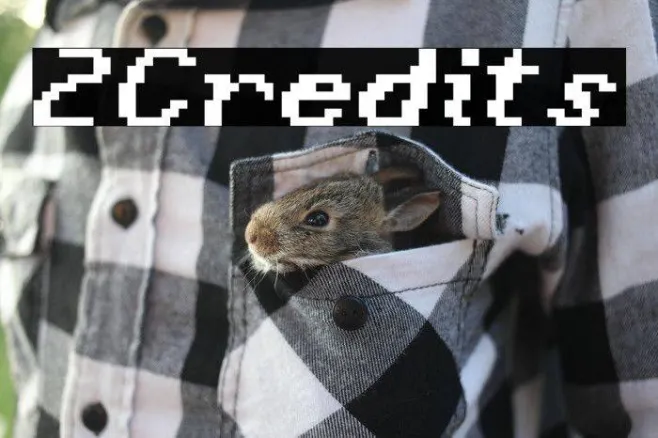 2Credits Example 1