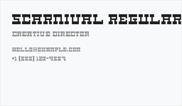 5Carnival Regular Business Card