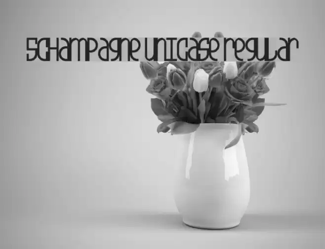 5Champagne Unicase Regular Font examples