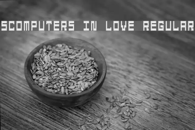 5Computers In Love Regular Font examples