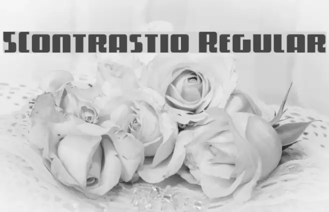 5Contrastio Regular Font examples