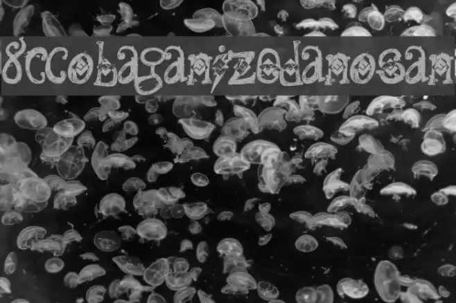 8C-DobaganizedRanosan Font examples