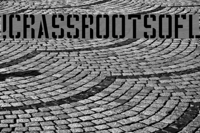 !CRASSROOTSOFL Fonte examples