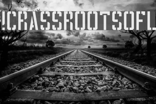 !CRASSROOTSOFL Fonte examples