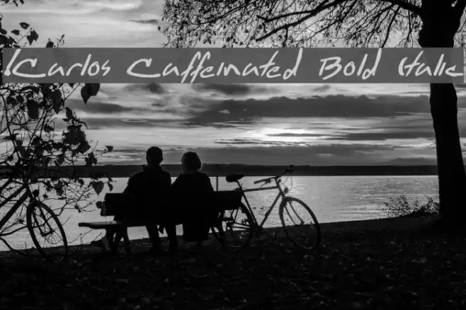 !Carlos Caffeinated Bold Italic 字体 examples