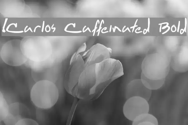 !Carlos Caffeinated Bold Font examples