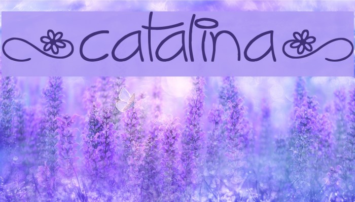 fontdoc catalina