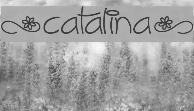 [Catalina] Font examples