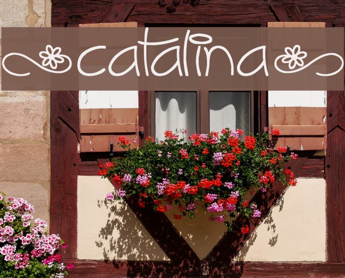 [Catalina] Example 2