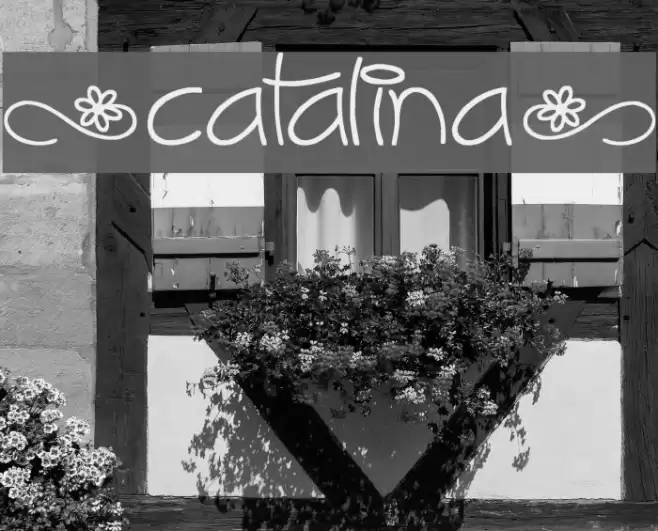 [Catalina] Font examples
