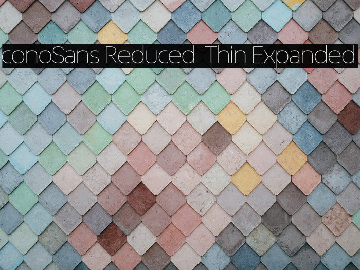 ÉconoSans Reduced 33 Thin Expanded Example 2