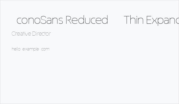 ÉconoSans Reduced 33 Thin Expanded Business Card