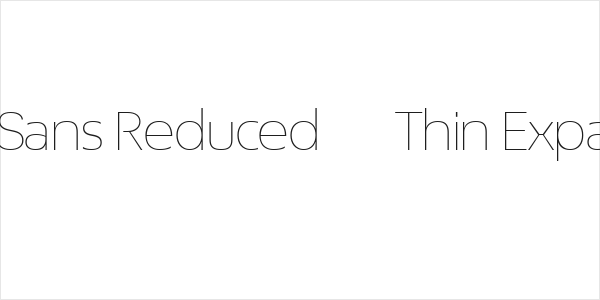ÉconoSans Reduced 33 Thin Expanded Logo