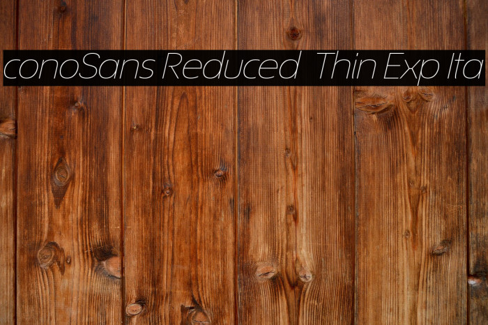 ÉconoSans Reduced 34 Thin Exp Ita Example 1