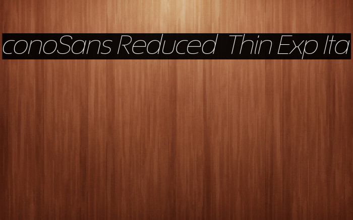 ÉconoSans Reduced 34 Thin Exp Ita Example 2