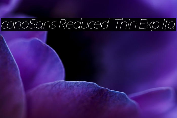 ÉconoSans Reduced 34 Thin Exp Ita Example 3
