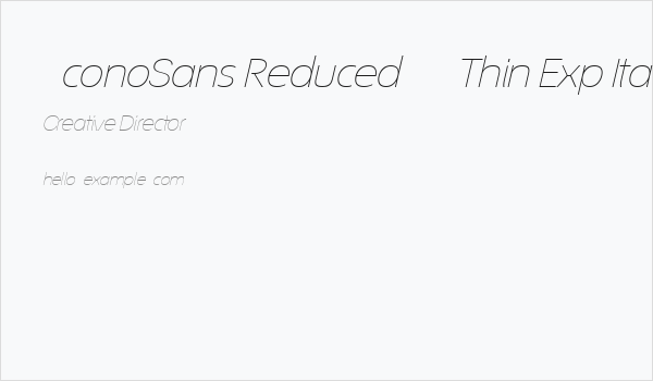 ÉconoSans Reduced 34 Thin Exp Ita Business Card