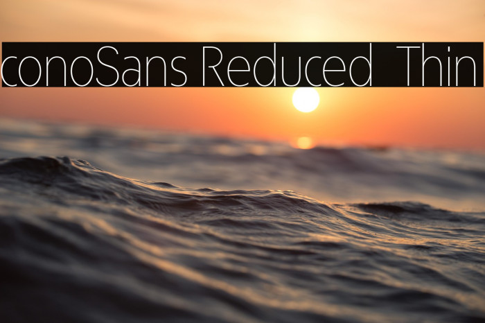 ÉconoSans Reduced 35 Thin Example 1