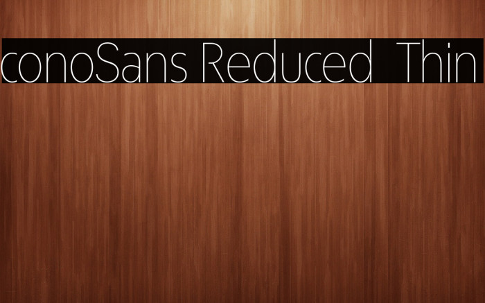 ÉconoSans Reduced 35 Thin Example 3